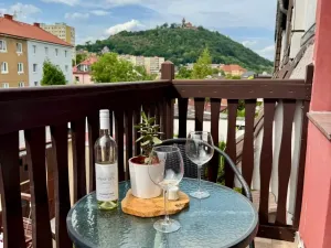 Prodej rodinného domu, Most, Jugoslávská, 452 m2