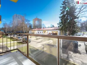 Prodej bytu 1+1, České Budějovice - České Budějovice 3, Plzeňská, 39 m2