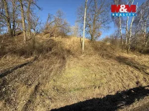 Prodej louky, Bošín, 799 m2