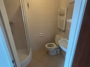 Pronájem bytu 1+kk, Prostějov, Netušilova, 34 m2