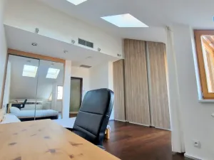 Pronájem bytu 3+kk, Praha - Veleslavín, Na okraji, 200 m2