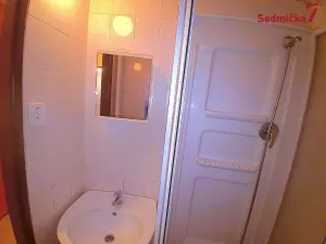 Prodej bytu 3+1, Žďár nad Sázavou, Nezvalova, 67 m2