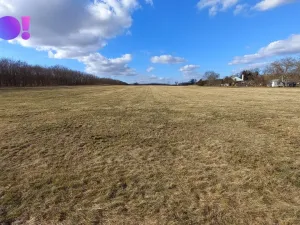 Prodej pole, Šanov, 61315 m2