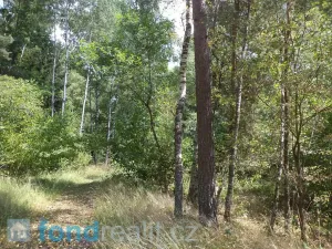 Prodej pozemku, Kaplice - Blansko, 19480 m2