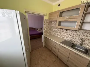 Prodej bytu 1+1, Most, Jaroslava Vrchlického, 35 m2