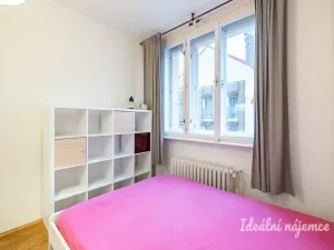 Pronájem bytu 1+kk, Praha - Vinohrady, Sobotecká, 18 m2