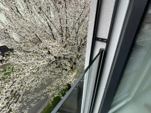 Prodej činžovního domu, Brno - Královo Pole, 200 m2