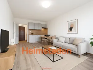 Pronájem bytu 1+kk, Orlová - Lutyně, Okružní, 28 m2