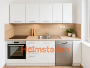 Pronájem bytu 1+1, Ostrava - Slezská Ostrava, Michálkovická, 30 m2