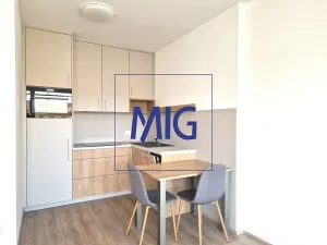 Pronájem bytu 2+kk, Brno, Spolková, 48 m2