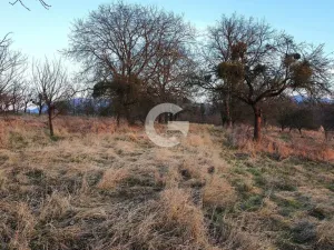 Prodej zahrady, Bystřice pod Hostýnem - Sovadina, 1840 m2
