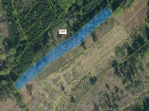 Dražba lesa, Vilice, 2384 m2