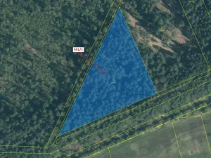 Dražba lesa, Suchdol nad Lužnicí, 9131 m2