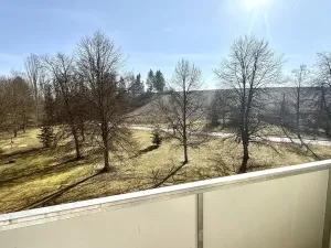 Prodej bytu 2+1, Jihlava, Telečská, 62 m2