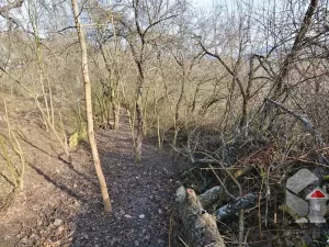 Prodej zahrady, Brno, Turistická, 207 m2