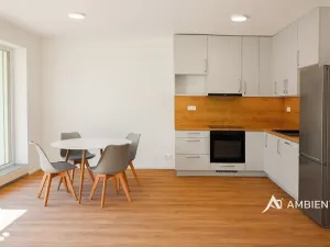 Pronájem bytu 1+kk, Brno, Ondřeje Sekory, 41 m2