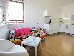 Pronájem bytu 1+kk, Brno, Křídlovická, 31 m2
