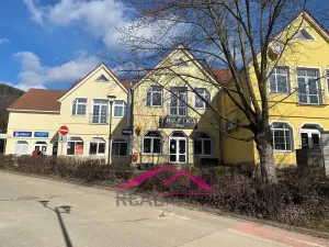 Prodej obchodního prostoru, Tišnov, Brněnská, 183 m2