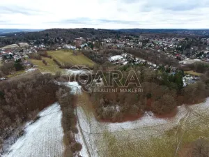 Prodej lesa, Velké Popovice, 19731 m2