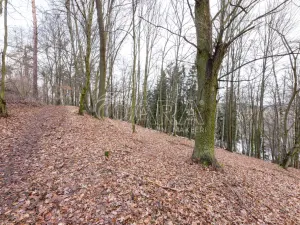 Prodej lesa, Velké Popovice, 19731 m2