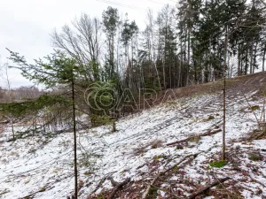 Prodej lesa, Velké Popovice, 19731 m2