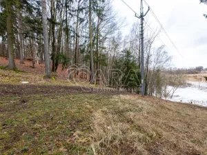 Prodej lesa, Velké Popovice, 19731 m2