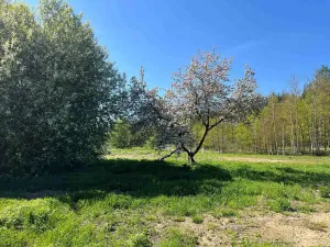 Prodej domu na klíč, Mimoň, Vranovská, 104 m2