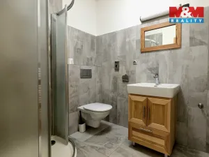Pronájem bytu 1+kk, Čermná, 42 m2