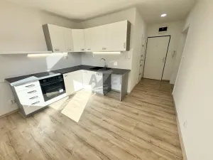 Prodej bytu 1+1, Ostrava - Moravská Ostrava, Josefa Brabce, 40 m2