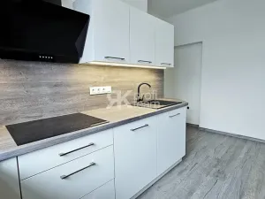 Pronájem bytu 1+1, Ostrava, Poděbradova, 55 m2