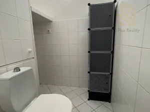 Pronájem bytu 3+1, Bílina, Na Chlumu, 65 m2