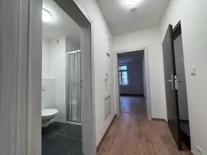 Pronájem bytu 2+kk, Praha - Střešovice, Na Petynce, 44 m2
