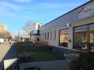 Pronájem bytu 1+kk, Praha - Modřany, Petržílova, 29 m2