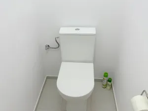 Pronájem bytu 3+1, Praha - Žižkov, Nad Ohradou, 81 m2