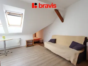 Pronájem bytu 1+kk, Brno, Palackého třída, 28 m2