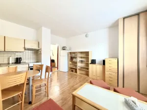 Pronájem bytu 1+1, Jablonec nad Nisou, Březová, 41 m2