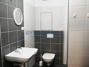 Pronájem bytu 2+kk, České Budějovice, U Lučního jezu, 61 m2