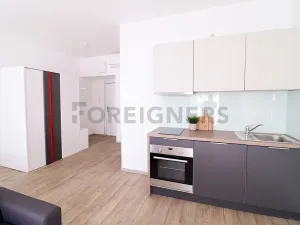 Pronájem bytu 1+kk, Brno, Bašty, 36 m2
