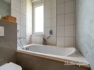 Pronájem bytu 1+kk, Praha - Holešovice, U městských domů, 42 m2