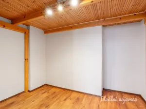 Pronájem bytu 1+1, Praha - Žižkov, Bořivojova, 49 m2