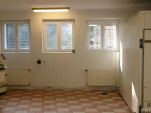 Pronájem výrobních prostor, Střelice, 120 m2