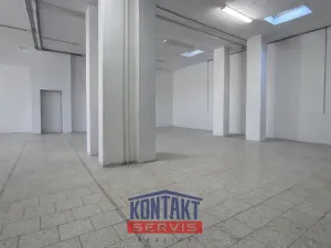 Pronájem výrobních prostor, České Budějovice, U Smaltovny, 200 m2