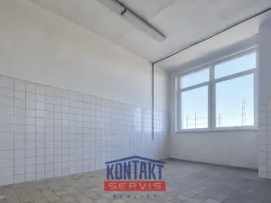 Pronájem výrobních prostor, České Budějovice, U Smaltovny, 200 m2