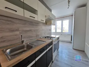 Prodej bytu 2+1, Stříbro, Gagarinova, 61 m2