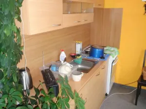 Pronájem bytu 1+1, Praha - Záběhlice, Práčská, 37 m2