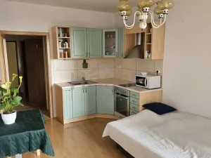 Pronájem bytu 1+kk, Praha, Jetelová, 28 m2