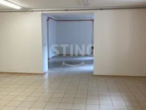 Pronájem skladu, Český Těšín, Ostravská, 230 m2