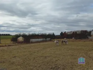 Prodej zemědělského objektu, Kotovice - Nový, 144 m2