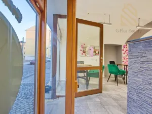 Prodej obchodního prostoru, Louny, Pivovarská, 55 m2