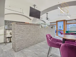 Prodej obchodního prostoru, Louny, Pivovarská, 55 m2